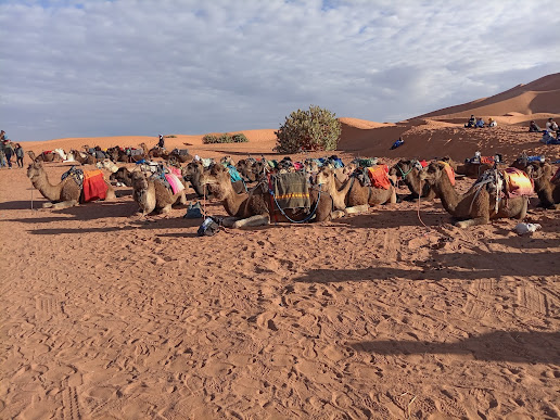 Merzouga Desert Experionce