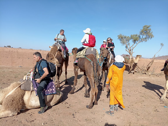Camel treking in the Sahara