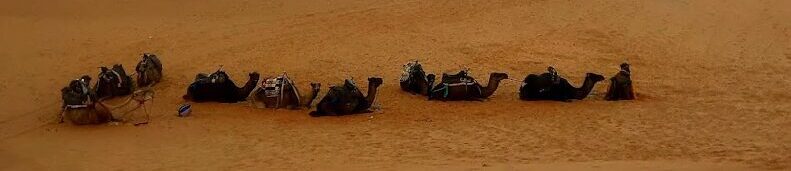 Sahara Desert tours